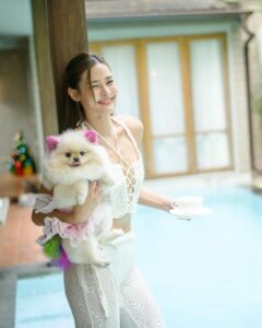 ฝนทิพย์ 48